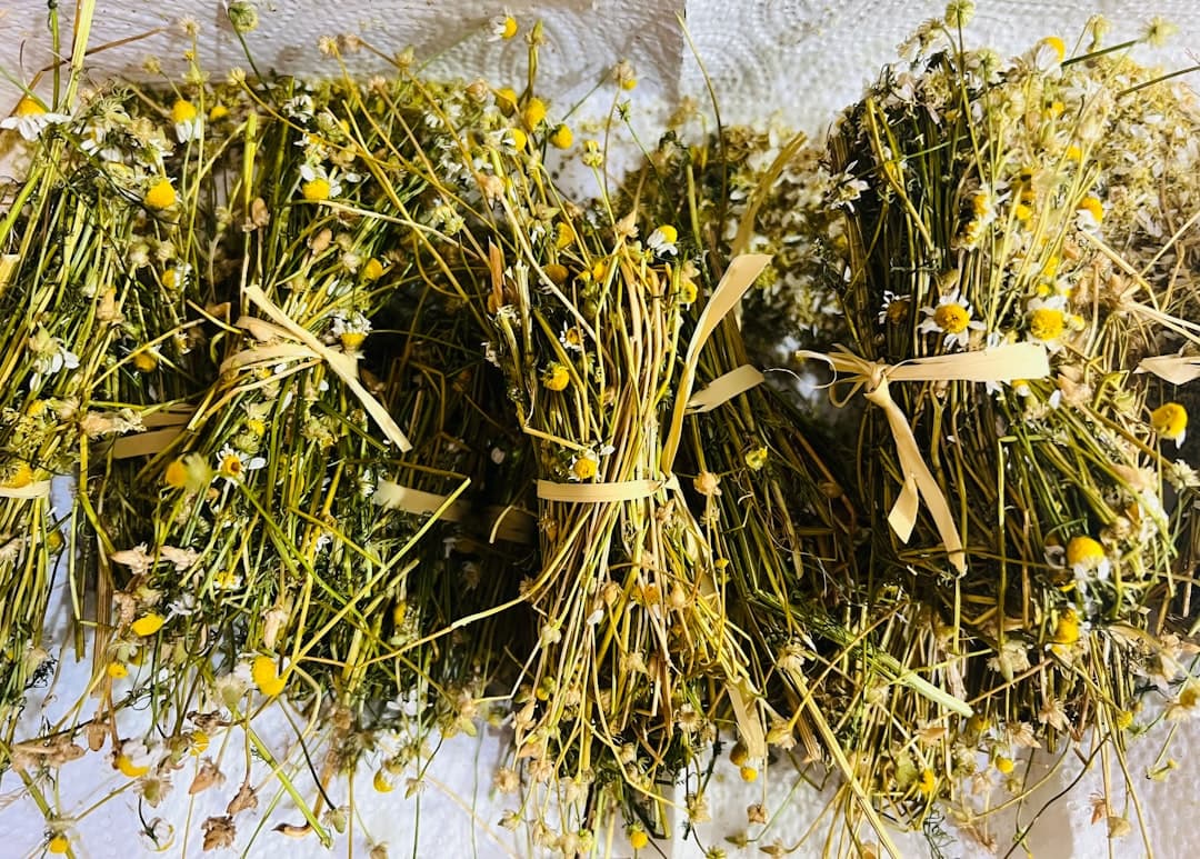 Whole and cut dried botanicals